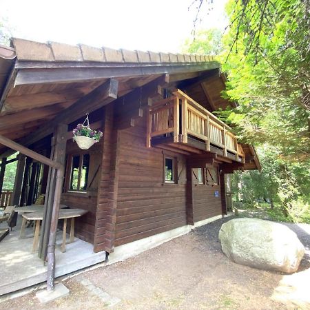 Le Renard Chalet En Bois La Bresse Kültér fotó