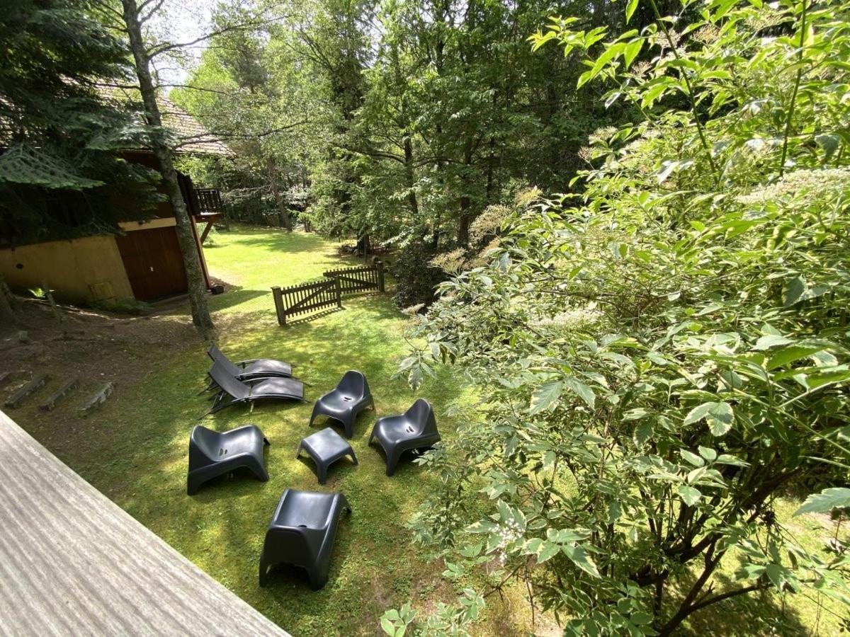 Le Renard Chalet En Bois La Bresse Kültér fotó
