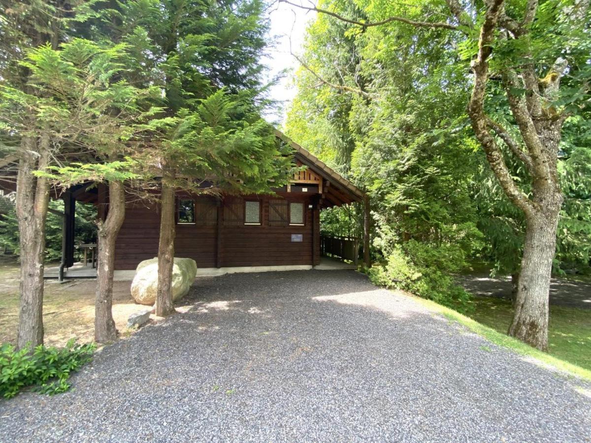 Le Renard Chalet En Bois La Bresse Kültér fotó